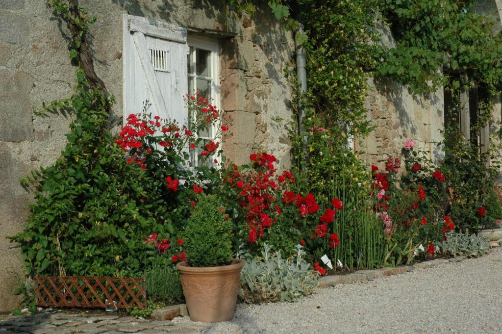 Chateau De L'Oiseliniere Bed and Breakfast Gorges  Exterior foto