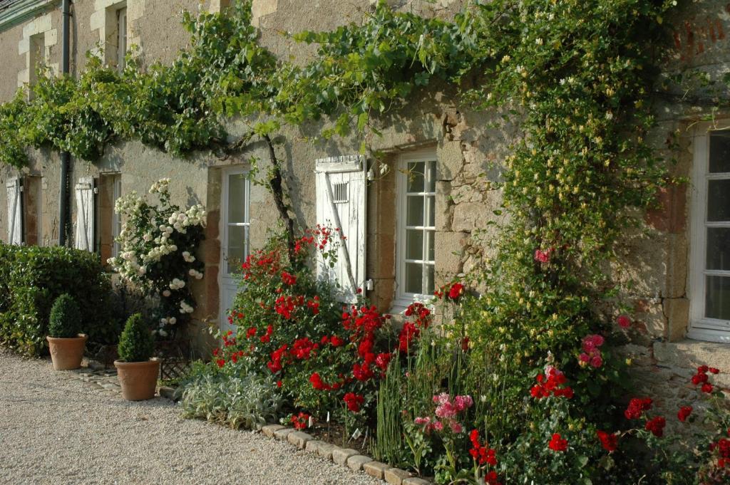 Chateau De L'Oiseliniere Bed and Breakfast Gorges  Exterior foto